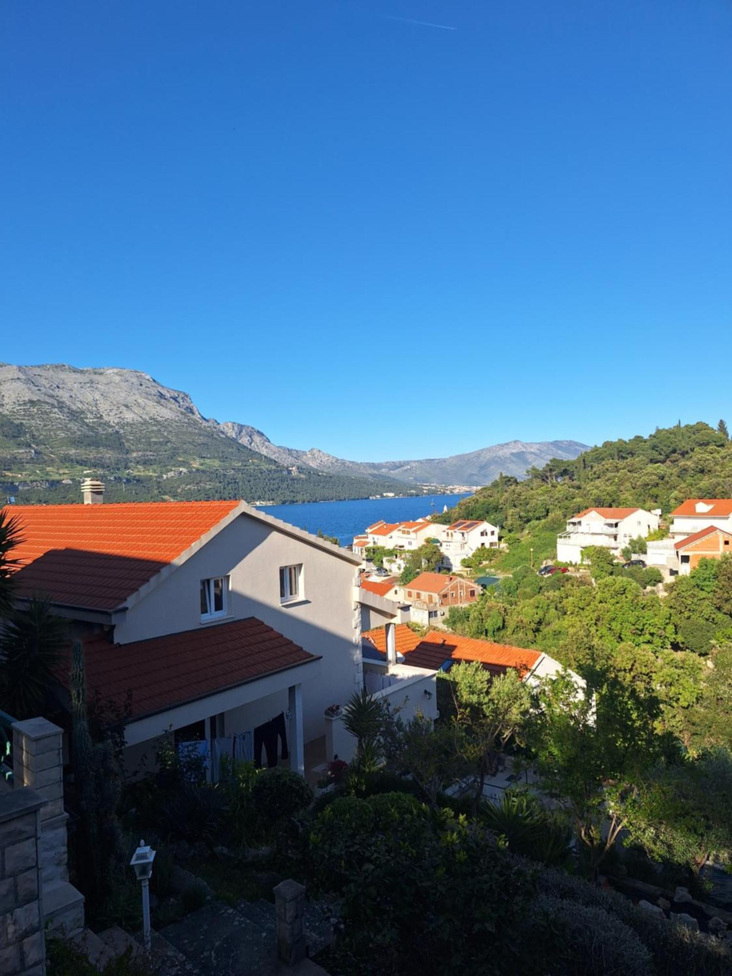 Orhideja Apartamento